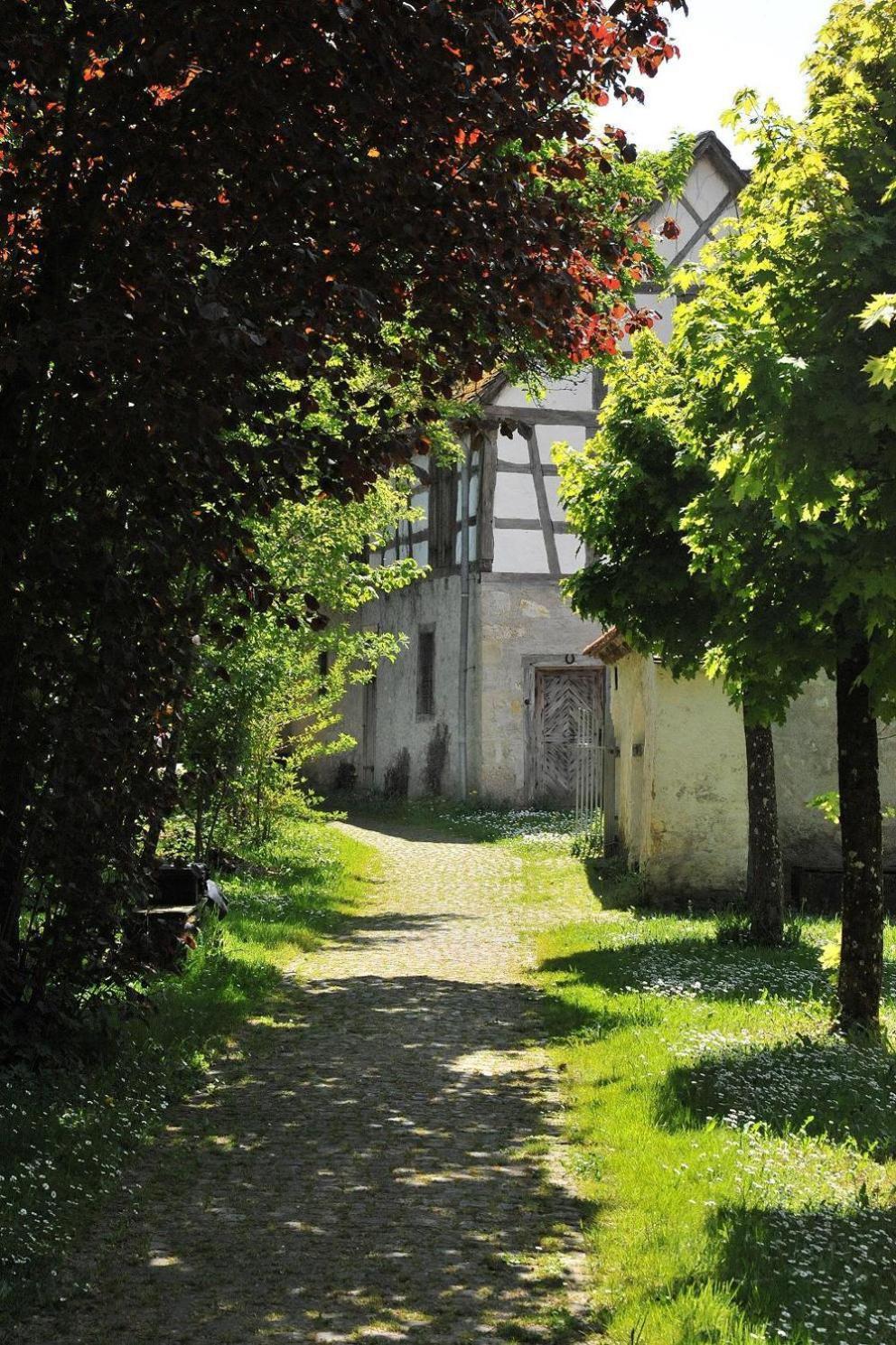 Tagungshaus Kloster Heiligkreuztal Altheim  Extérieur photo