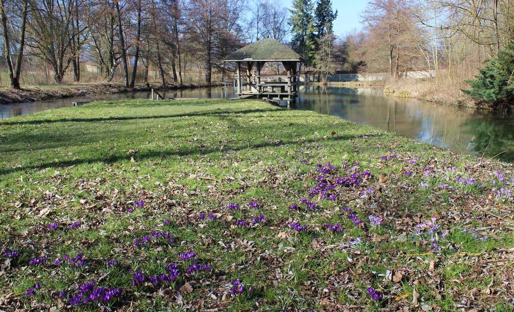 Tagungshaus Kloster Heiligkreuztal Altheim  Extérieur photo